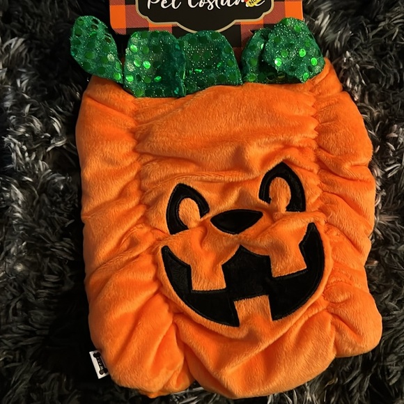 Halloween Dog Pumpkin Outfit - Pet Pumpkin Costume - Picture 2 of 3